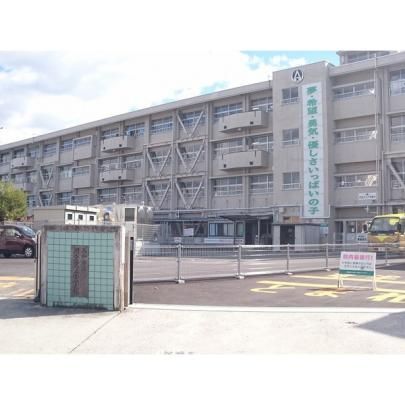 【周辺】　高知市立朝倉第二小学校：1495m